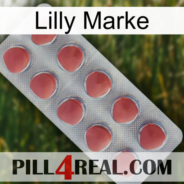 Lilly Brand 18